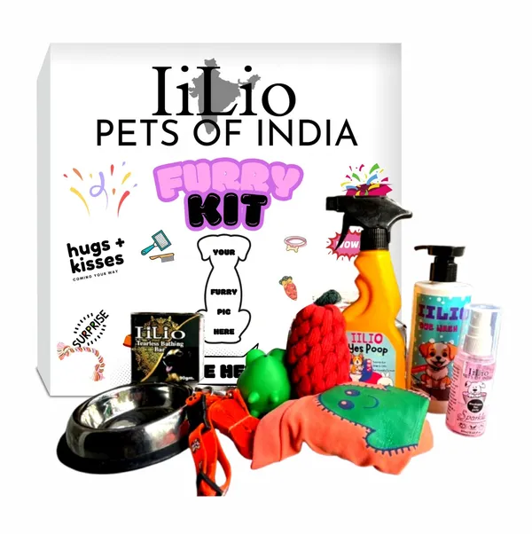 Gift_Customized_Pet_Products_Box_With_Essential_Products